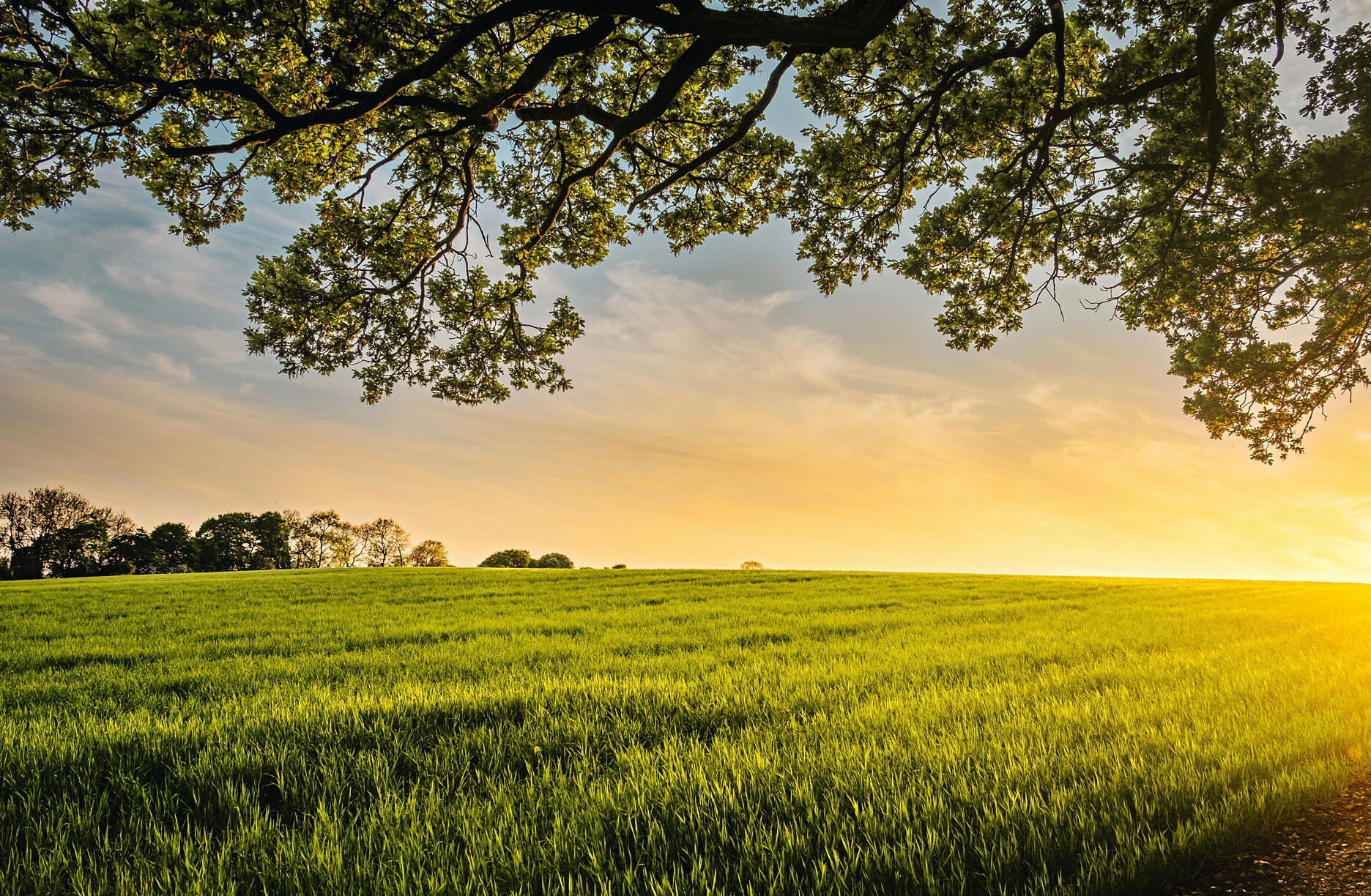reading the bible on the prairie